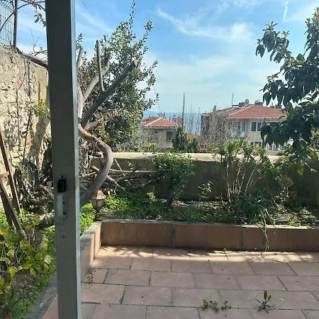 Stone Garden In The Heart Of The *
